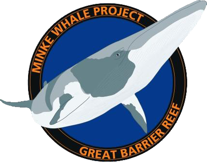 Minke Whale Project